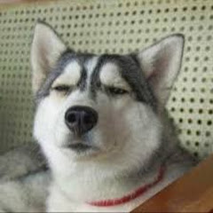 短視頻_搞笑集錦アイコン画像