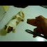 Channel Image