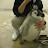 @user-rw2hf4dl8p