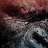 @XMetalChefX's avatar