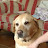 @stephenchamp6983 Avatar
