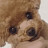 @Shadow-fl6kz