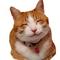 SmileyCat logo