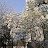 @CharlesLim-tj4vd