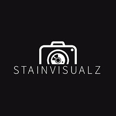 StainVisualz net worth
