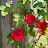 @user-xy9dq4ln3f