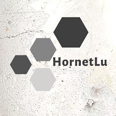 HornetLu net worth
