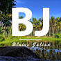 Blaise Julian logo