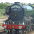 l5cIpWcQxYI-channel-avatar-British steam101