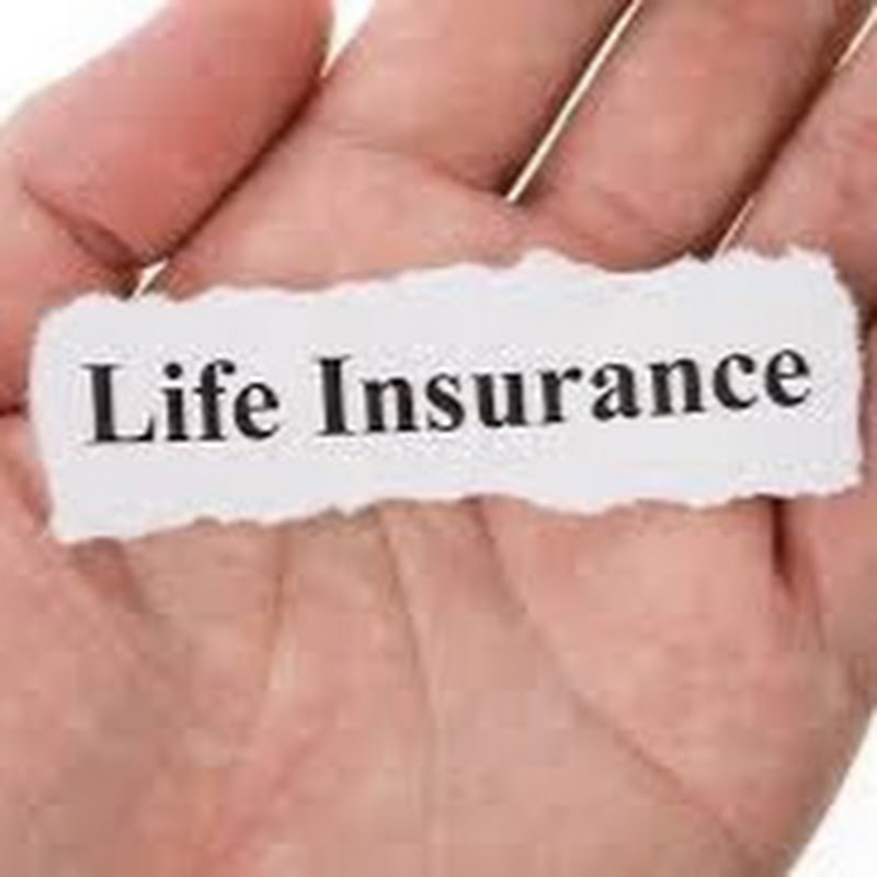 largest life insurance company