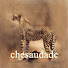 iSMnSjK_C0M-channel-avatar-esteban chesaudade