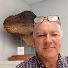 vWsLuVB5vwg-channel-avatar-Michael Leveille