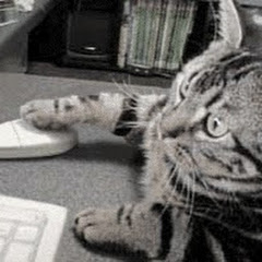 チャンネル青空