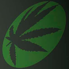 Marihuana Televisión Image Thumbnail