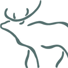 Thumbnail of related channel