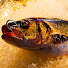 Uxpx7U-1V2s-channel-avatar-Pescador Samata