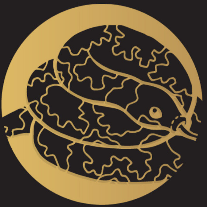 Wickens Wicked Reptiles Net Worth & Earnings (2026)