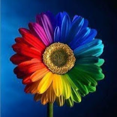 Rainbow Plants Nursery channel logo