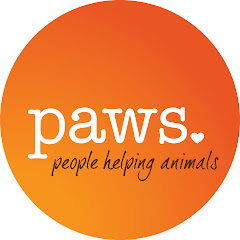 PAWS TV