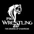 WespaMOvrq8-channel-avatar-Pro Wrestling 2.0