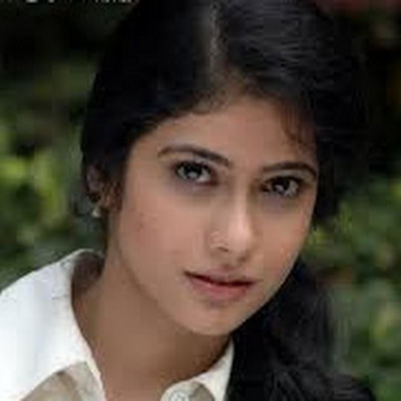 Nilpori Binodon vlog