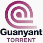 Guanyant Torrent logo