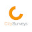 City Surveys