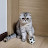 @박현진-z1z