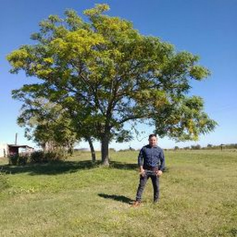 Javier Nahum Carranza Terrones icon