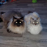 Автор