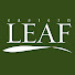 2Q3TjxY1eJ8-channel-avatar-Eastern Leaf