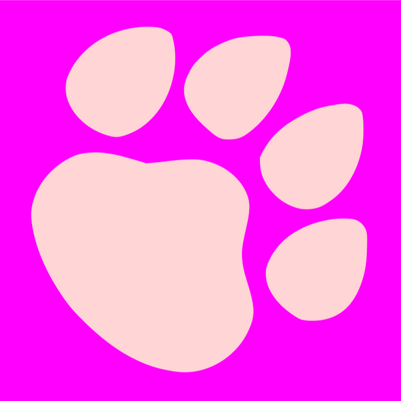 Paws on Curacao [ Animal Rescue Channel ]