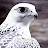 @حمادهحماده-ل3ض