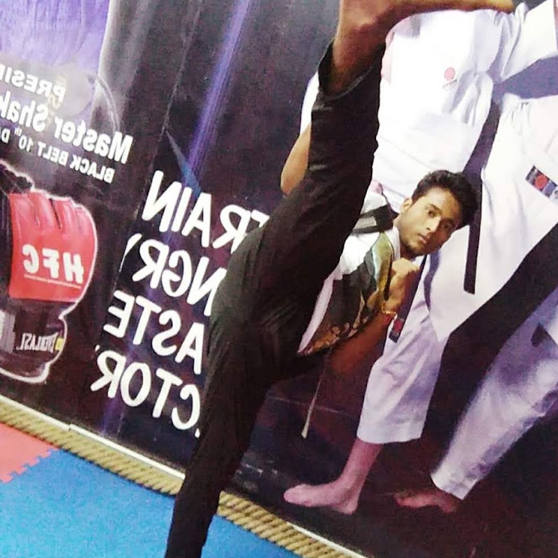 martial arts fan