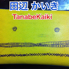 田辺かいきアイコン画像