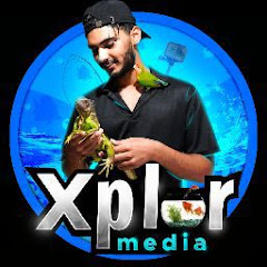 Xplor Media channel logo