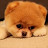 @sageofthesixpaths1789 Avatar