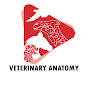 Veterinary Anatomy logo