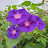 @jasonseol3886
