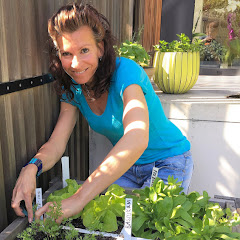 der Geniale Gemüsegarten