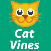Ultimate Cat Vines