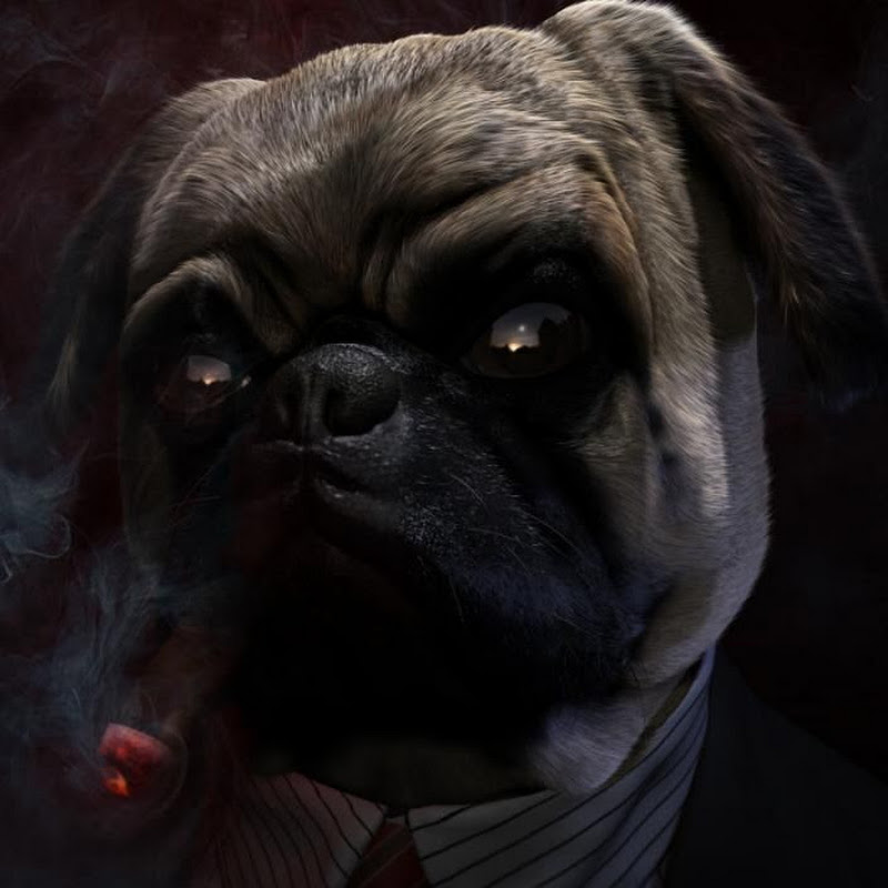 Jakub Wickowski (Lord Mops)