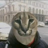 Автор