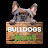 @frenchbulldogsexoticfrench8201