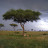 @tuskercapital