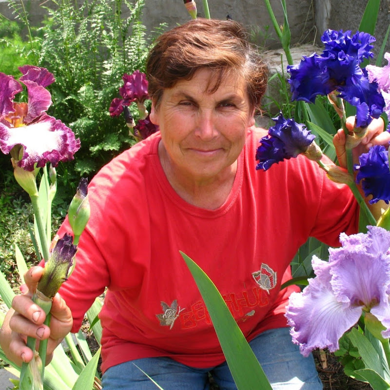 Ирисовый сад Logo