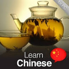 Learn Chinese Avatar