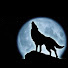 0US5h7WnmIs-channel-avatar-Lopez 502