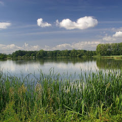 Nejlepší Filmy a Videa o rybaření a přírodě