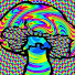 8ujK5CrqTRk-channel-avatar-ShrooGuy56
